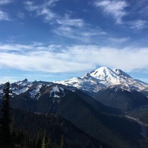 Meet your Posher, Bri